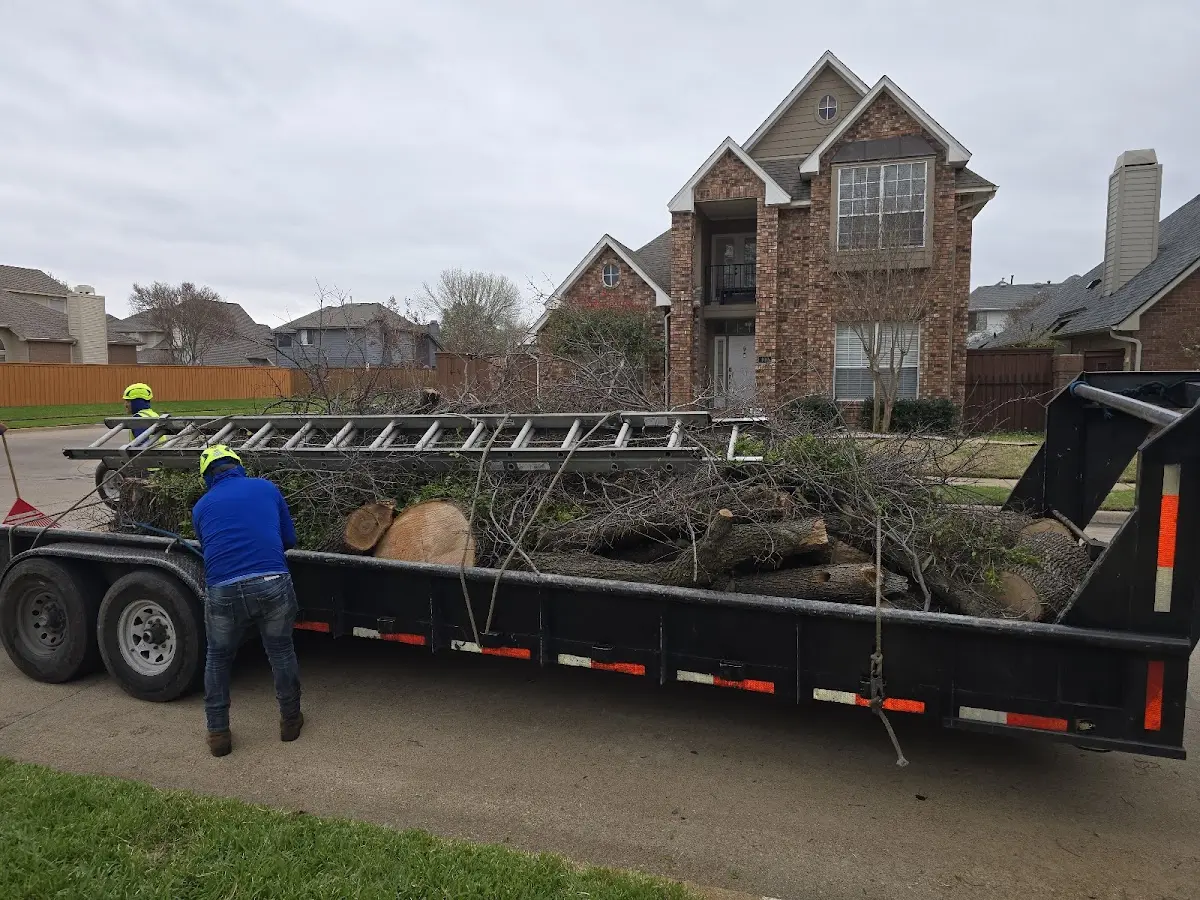 Expert Tree Fertilization with proper safety equipment in White Sands Missile Range